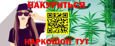 гашик Сланцы