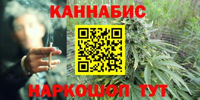 гашик Сланцы